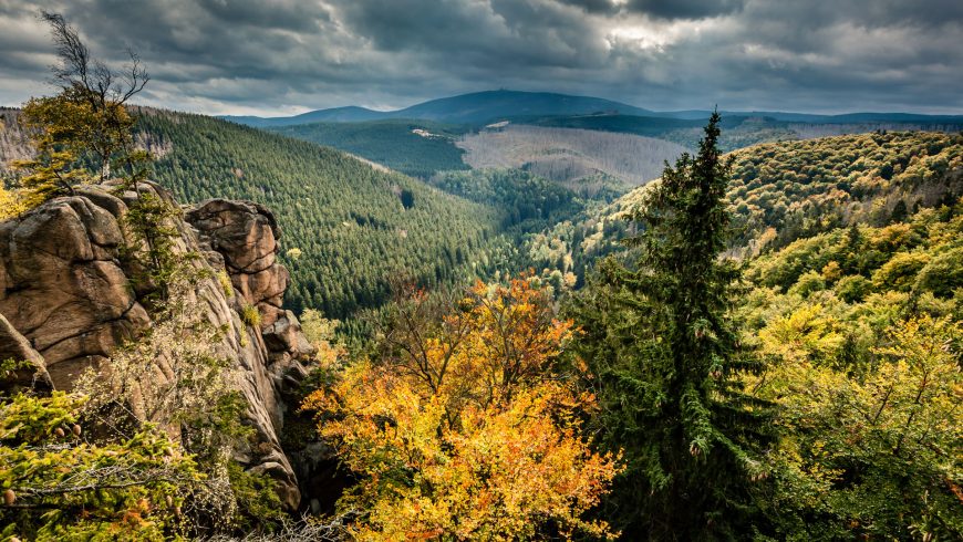 View to the Brocken - the highest mountain in the Harz (Photo: Mirko Lehmann)