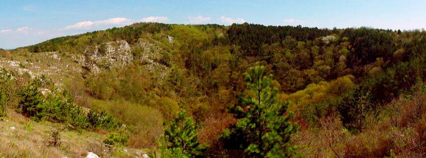 Istria hidden gems - Sopajac karst swallow hole