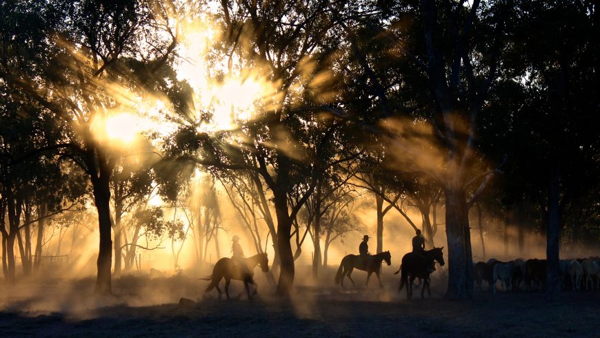 horse riding