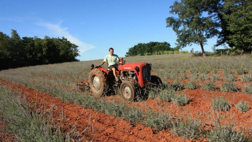 organic farming istria