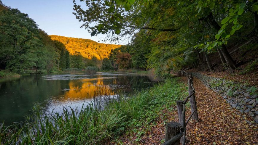 Nature park Papuk Croatia