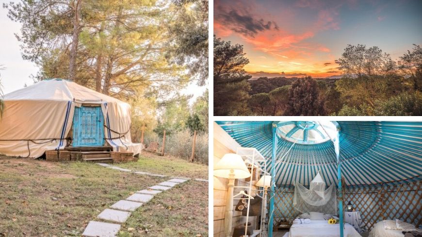 yurt among alpacas olive trees and tuscany views in italy