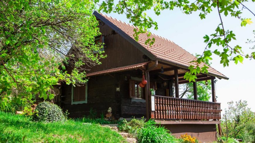 Na Okić - a private forest oasis