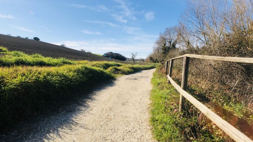 paths around farmhouse ritorno alla natura in italy on ecobnb
