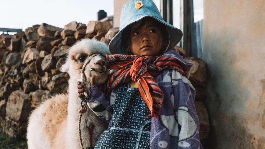 alpacas with sudamerican child