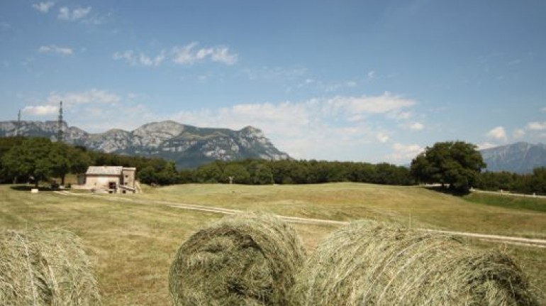 An organic farm in Trentino woods
