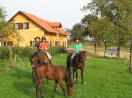 Goričko Landscape Park: find your stay at the Agritourism Farm Vrbnjak