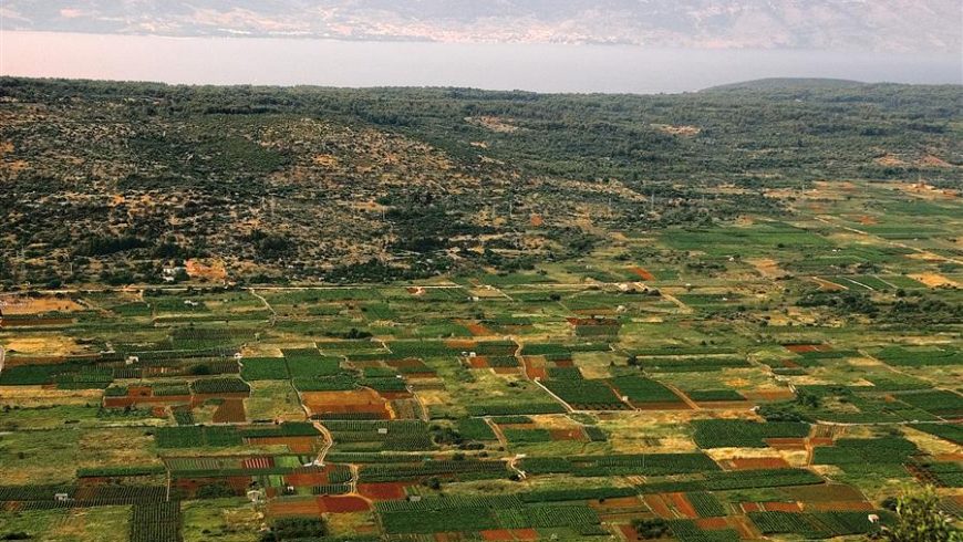 Hvar Starigrad plain