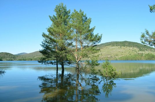 European Day of Parks: discover the Pivka Nature Park