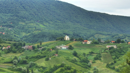 ntain: Croatian Champagne region