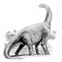 Datule Barbariga dinosaur