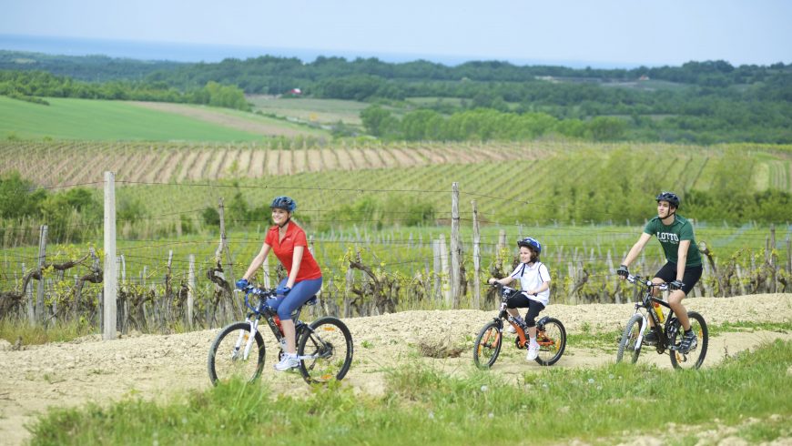 e-bike routes in Istria