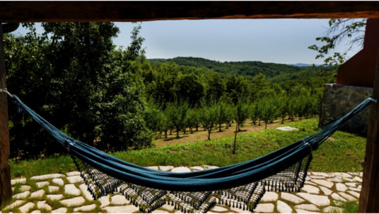 Lay and read in a hammock at the Ekodrom Estate
