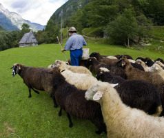 Rural Holidays in Slovenia