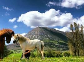 Visit Slovenia and discover the love that the Hudičevec Vacation Farm shows for animals