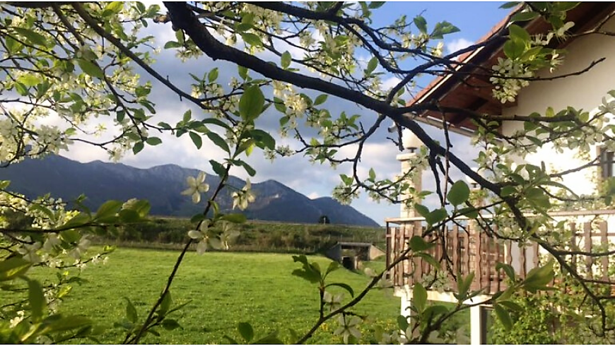Enjoy a stunning terrace at the Hudičevec Vacation Farm