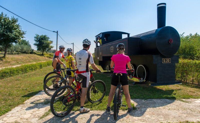 Vizinada old locomotive