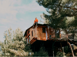 Have an eco-glamping experience in a tree house in the middle of nature