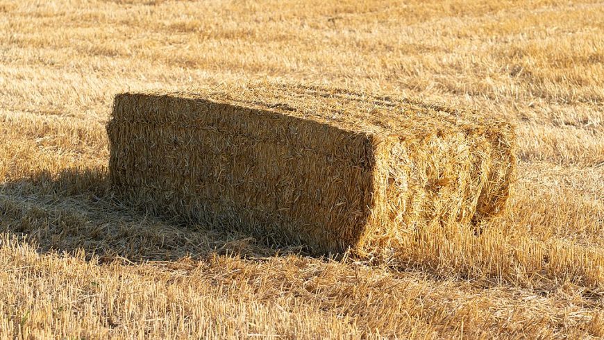 Rectangular bale of straw on a field