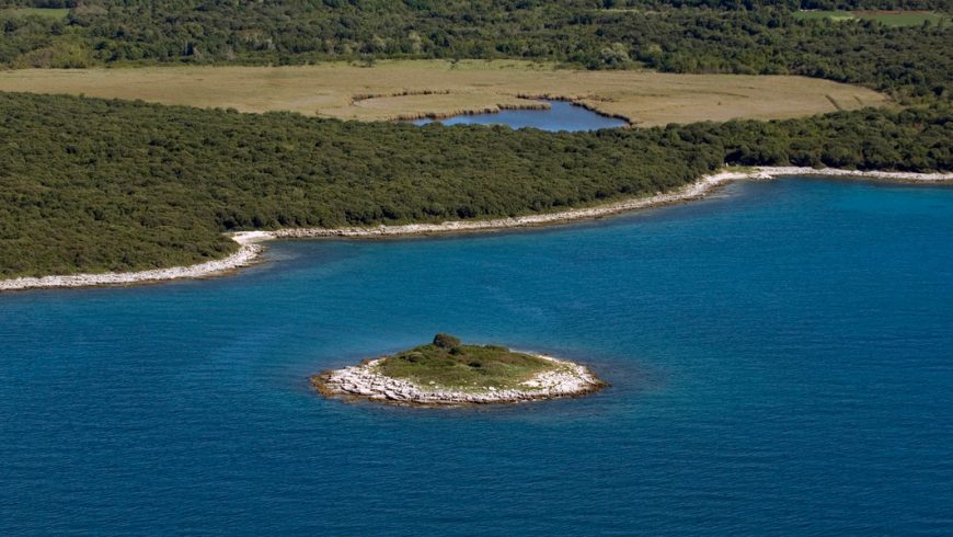 eco-friendly experiences in Istria: birdwatching