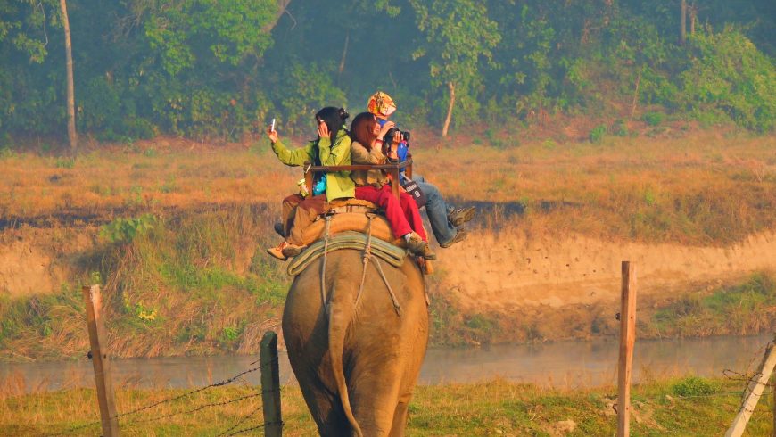 riding elephants