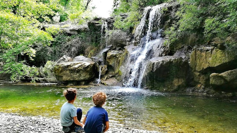 Children watching waterfalls in a wood