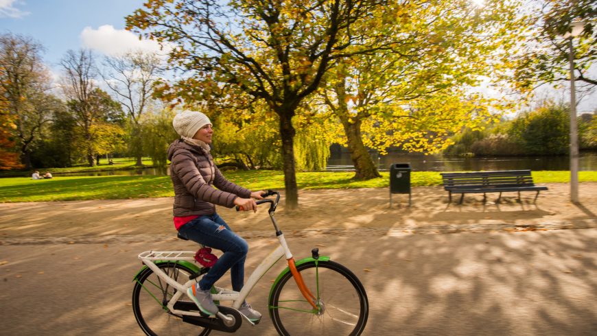 amsterdam forest