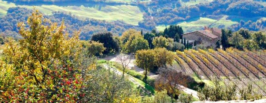 Colours of the Val d'Orcia