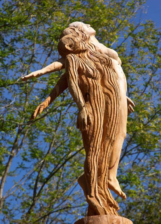 Art and nature meet in the Arte Stenico wood