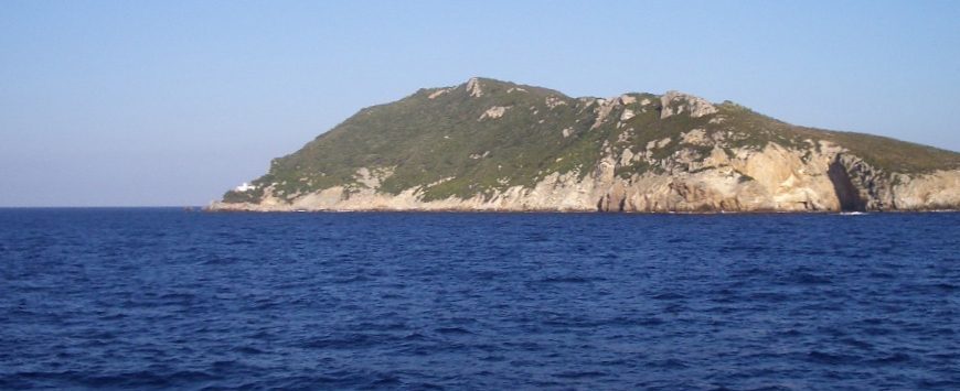 The island of Zannone seen from the sea