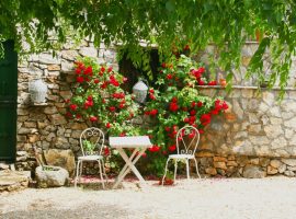 Chairs and table in a blooming corner of the garden