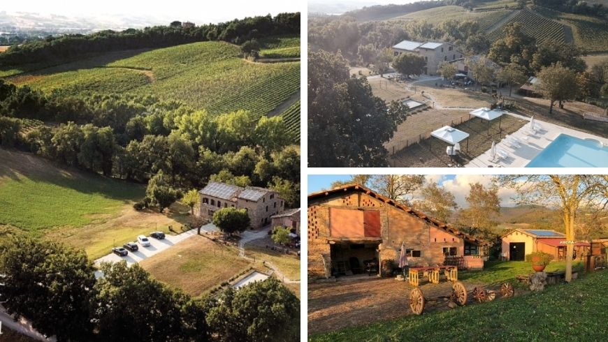 organic farm among the vineyards and hills of the Marche