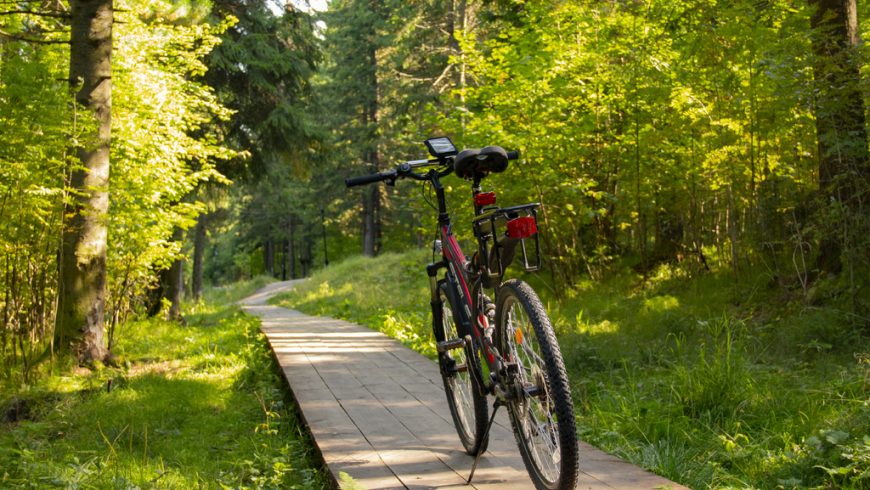 Top Tips For Eco-Friendly Travel: travel by bicycle