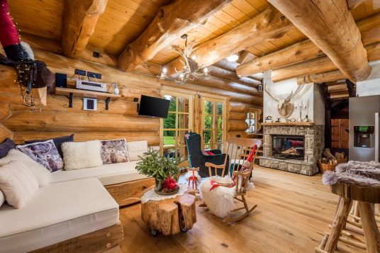 Living room with fireplace in Divjake Log Home eco chalet in Croatia