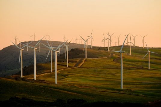 renewable energy sources, wind farms