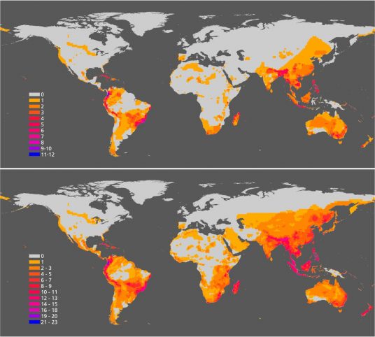 Distribution of 515 species of terrestrial vertebrates on the brink (top, species with less than 1000 individuals; under, species with less than 5000 individuals); the extinction of some species can lead to lose other linked species.