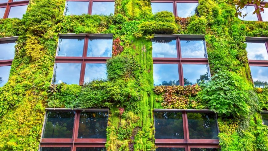 green wall building