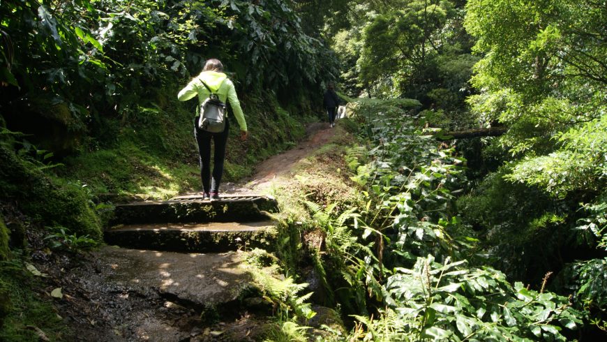 Azores Natural Park. 
