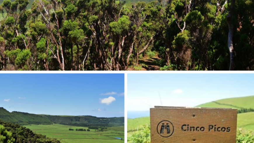 Passagem das Bestas, Terceira Island