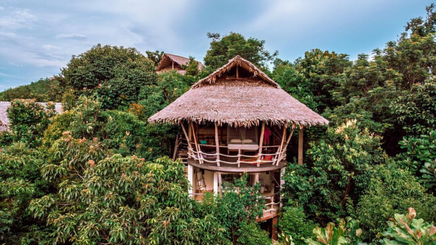 Valentine's day in a Tree House