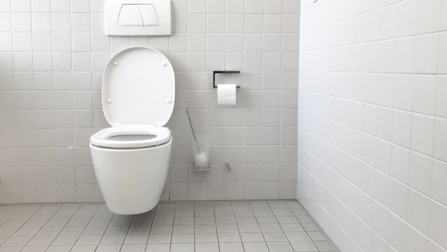 dual-flush toilet