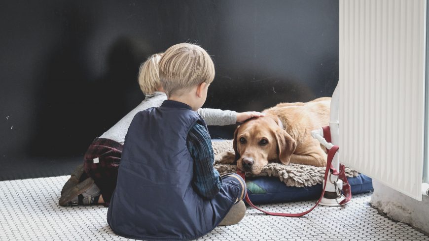 7 Benefits for Kids Who Grow Up With Dogs - Ecobnb
