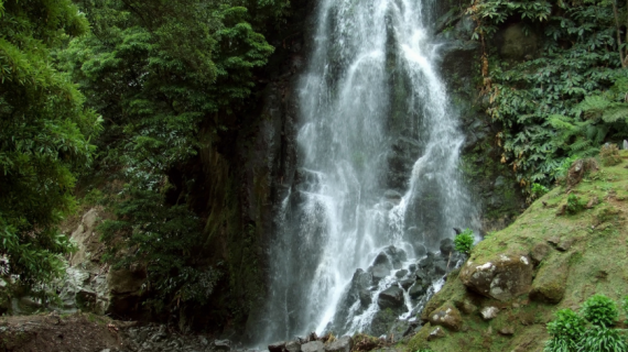 Top 10 Azores Natural Parks to Venture into the Wild - Ecobnb