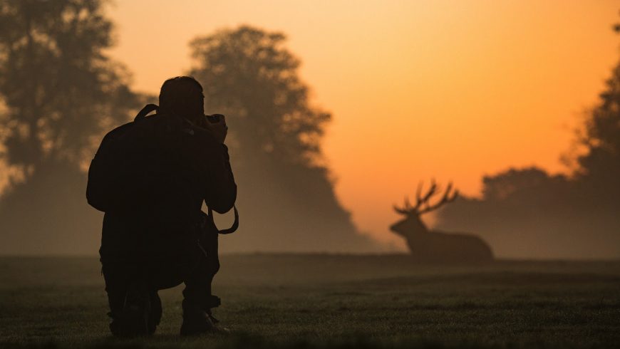 Basic Guide to Wildlife Photography 2021