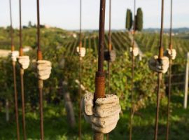 Orme su la court vineyard and museum italy