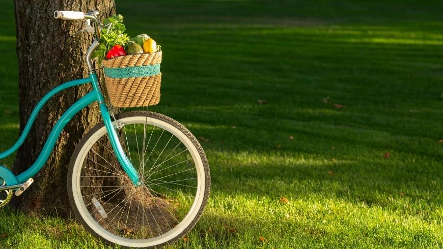 bicycle and eco-friendly products