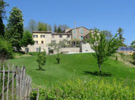 Smart working in the green heart of Romagna