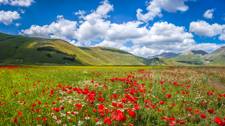 Discover the benefits of nature in the green of Umbria