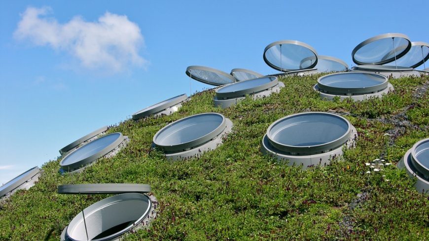 Green Living roof of the California Academy of Sciences