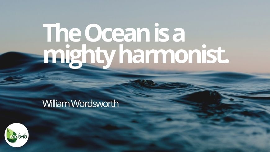 powerful quote about sustainability, the importance of protecting the oceans